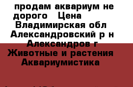продам аквариум не дорого › Цена ­ 1 000 - Владимирская обл., Александровский р-н, Александров г. Животные и растения » Аквариумистика   